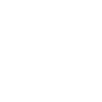 Fyysiset